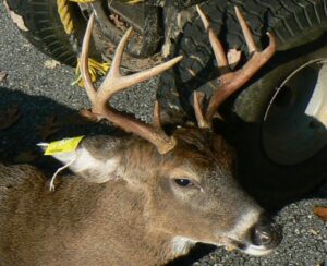 Reviews & Testimonials - Wyoming County Whitetail