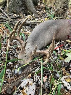 Deer Hunting Success